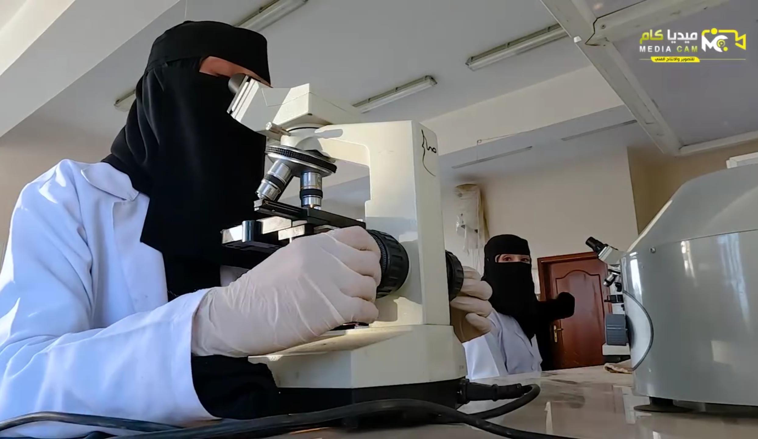 رؤية الكلية