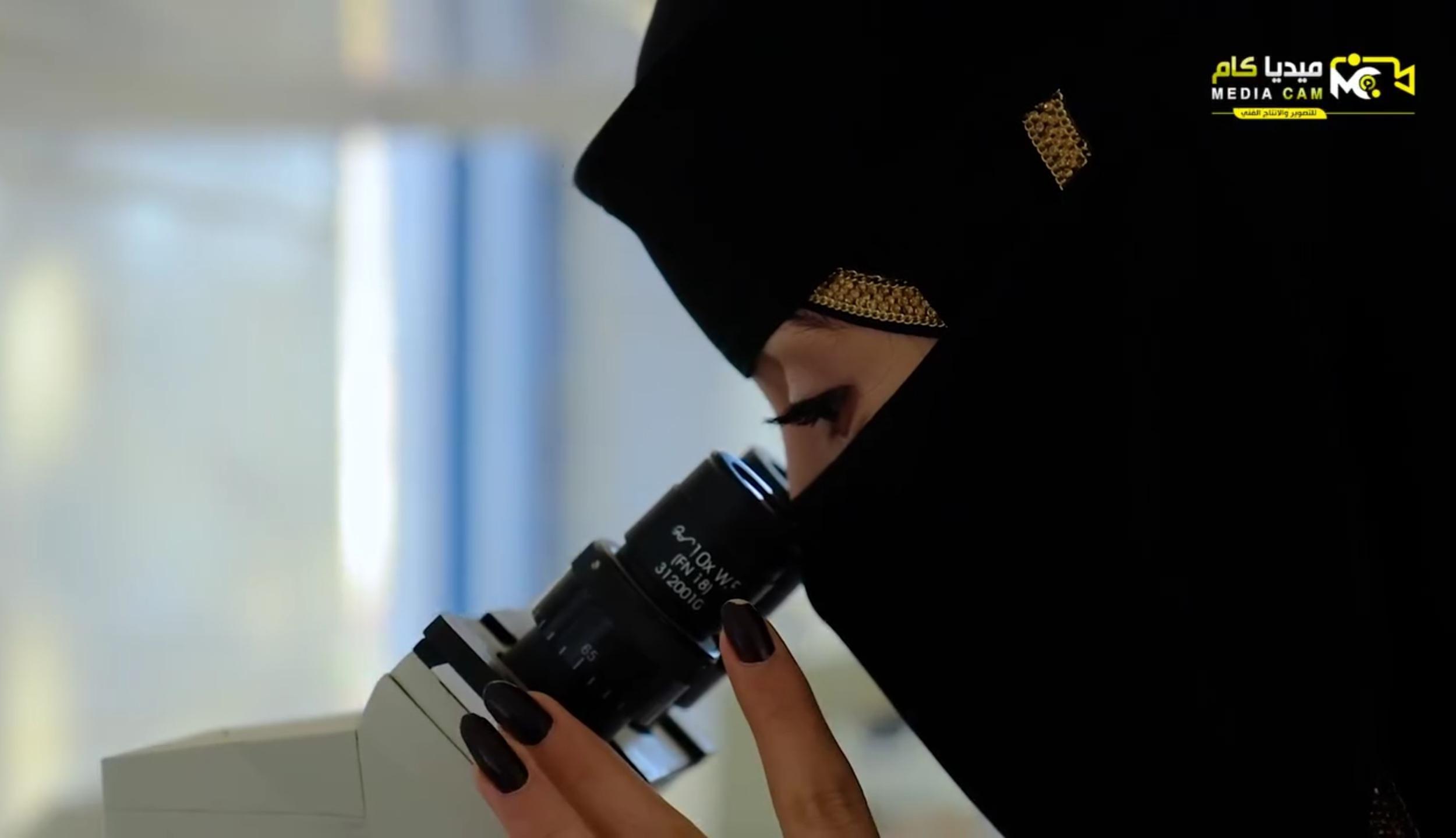 نبذة عن الكلية