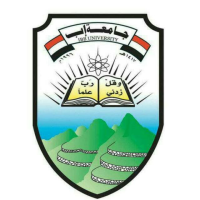Ibb University