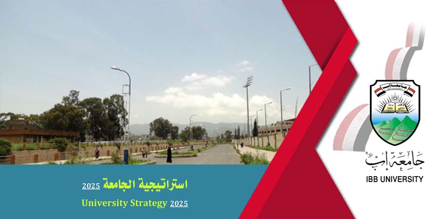 استراتيجية الجامعة 2025